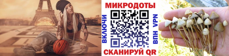 Псилоцибиновые грибы мухоморы  Староминская 